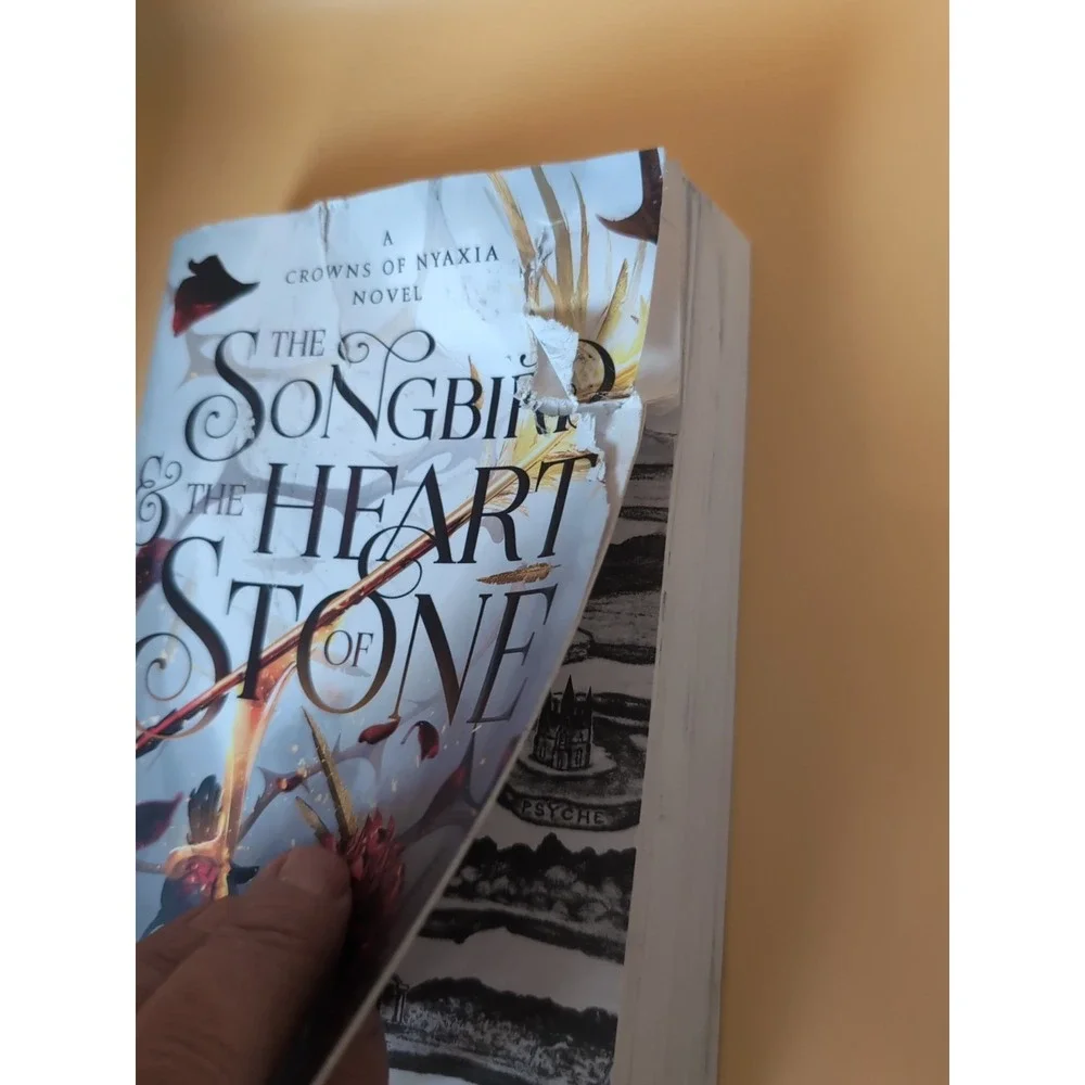 Songbird and the Heart of Stone : The‎ Shadowborn Duet, Book One Damaged Cover
